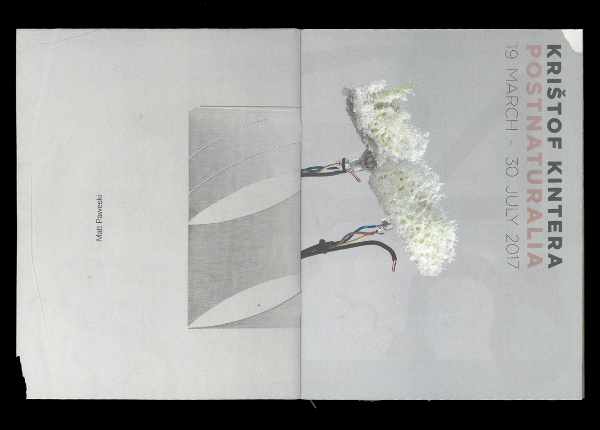  Joe Gilmore graphic design