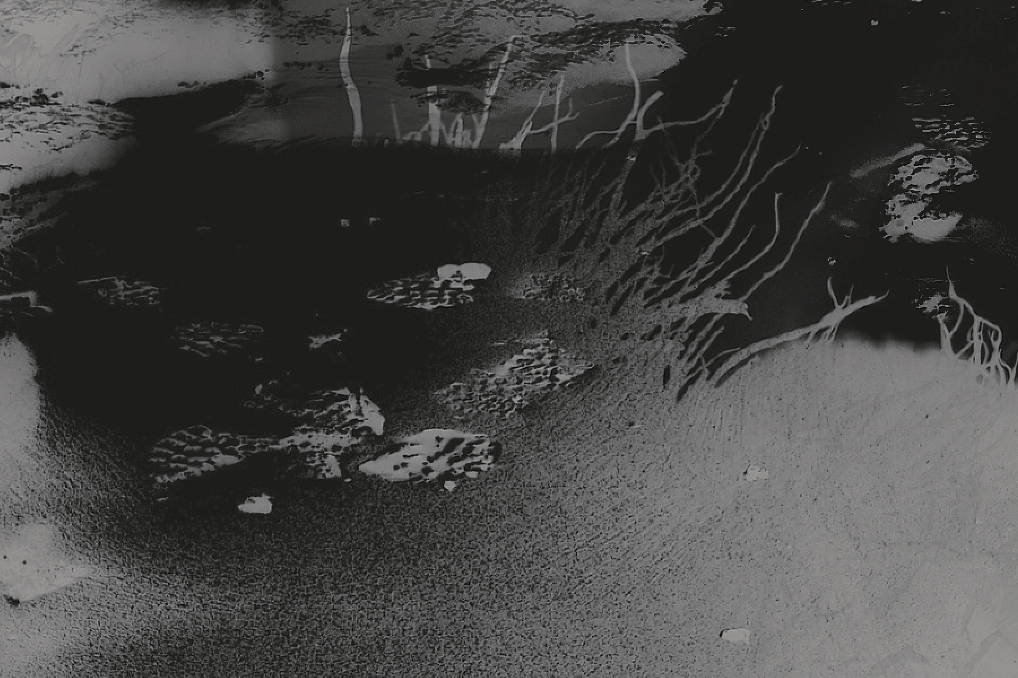  Joe Gilmore graphic design