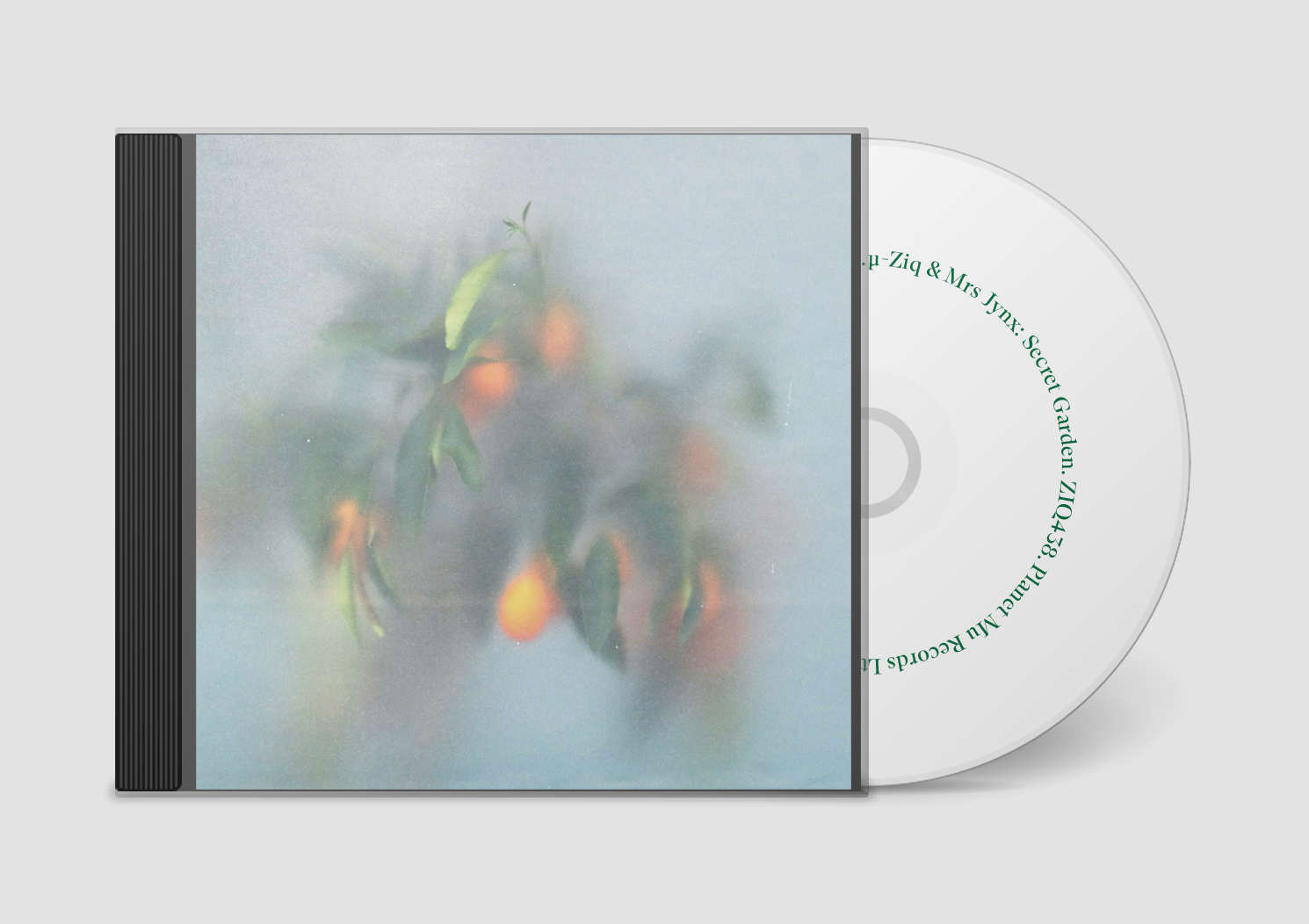  Joe Gilmore graphic design