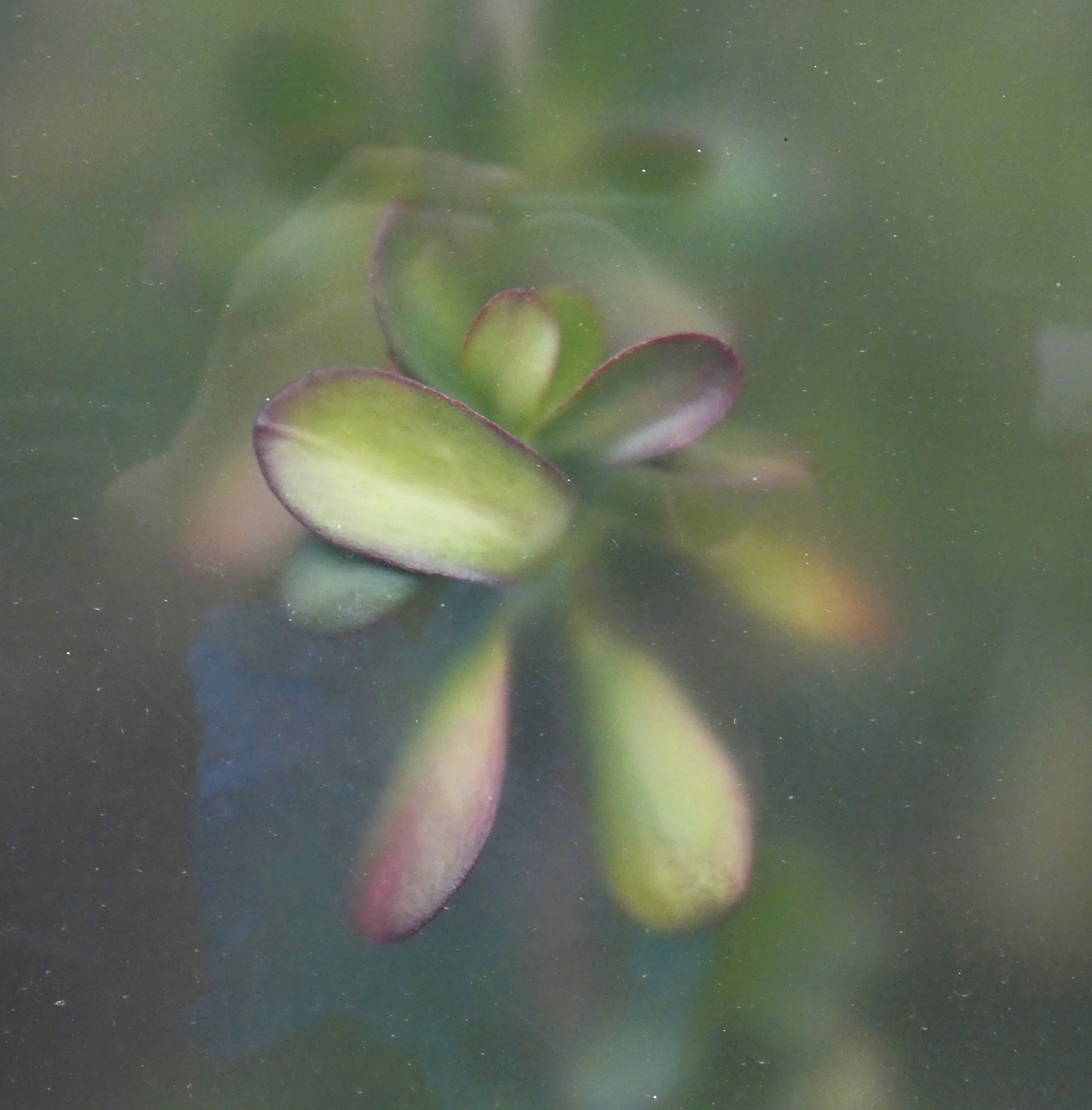  Joe Gilmore graphic design