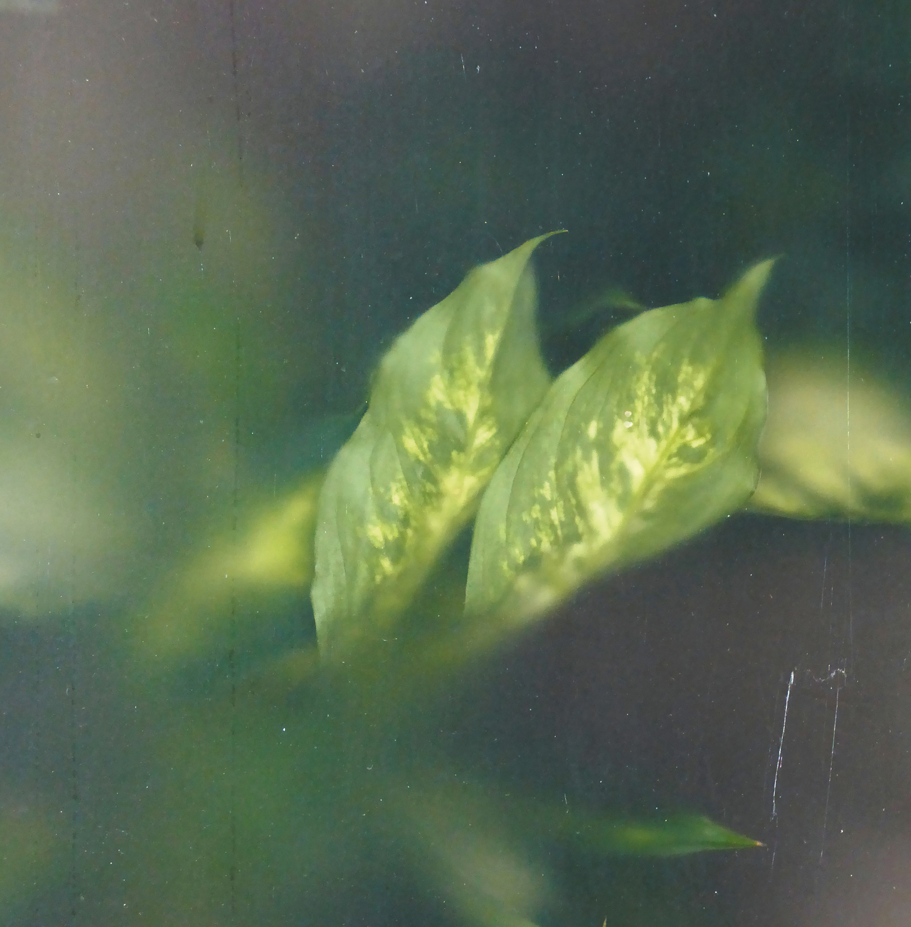  Joe Gilmore graphic design