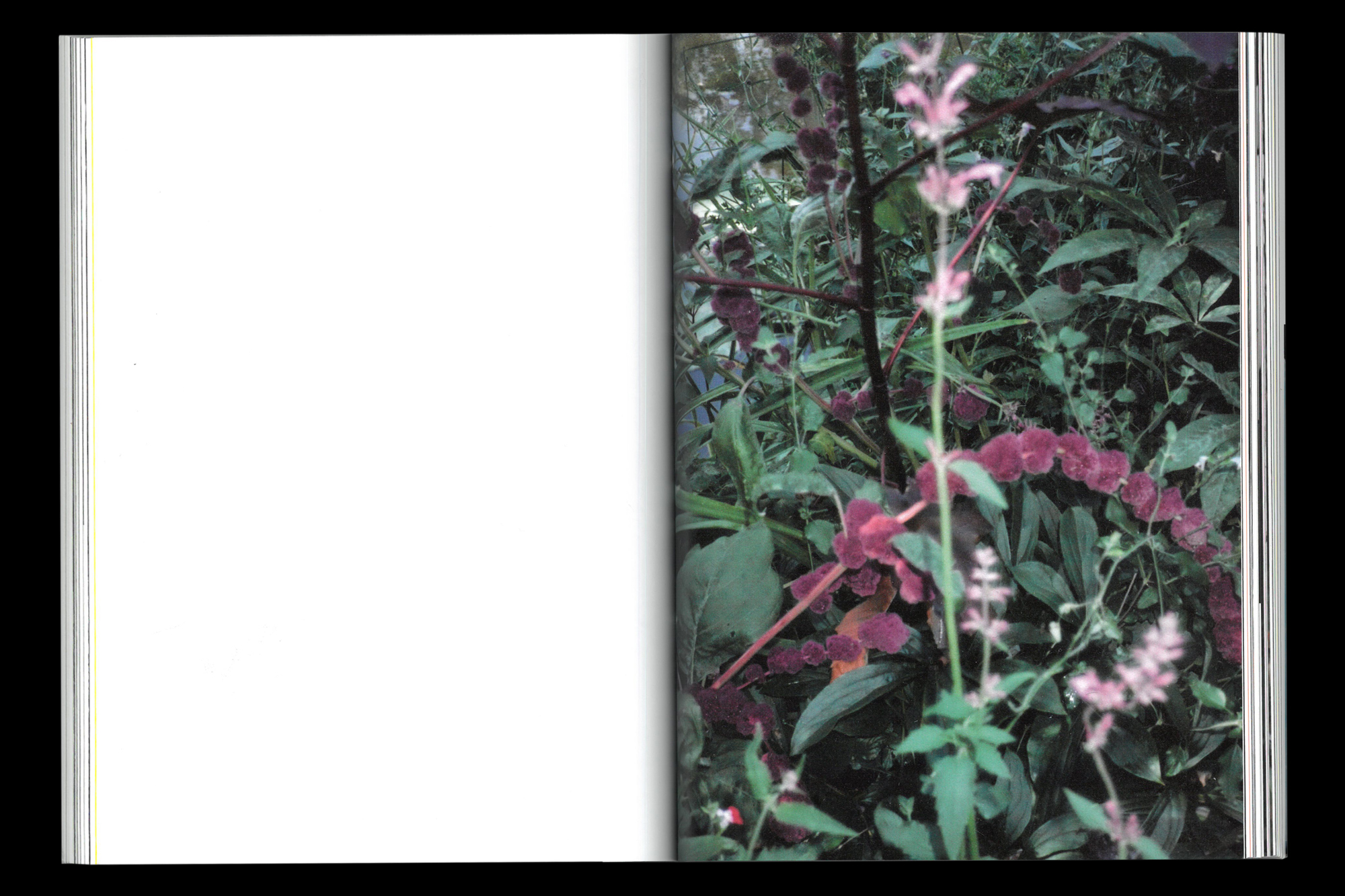 Mary Manning, Grace is Like New Music book design by Joe Gilmore Joe Gilmore graphic design