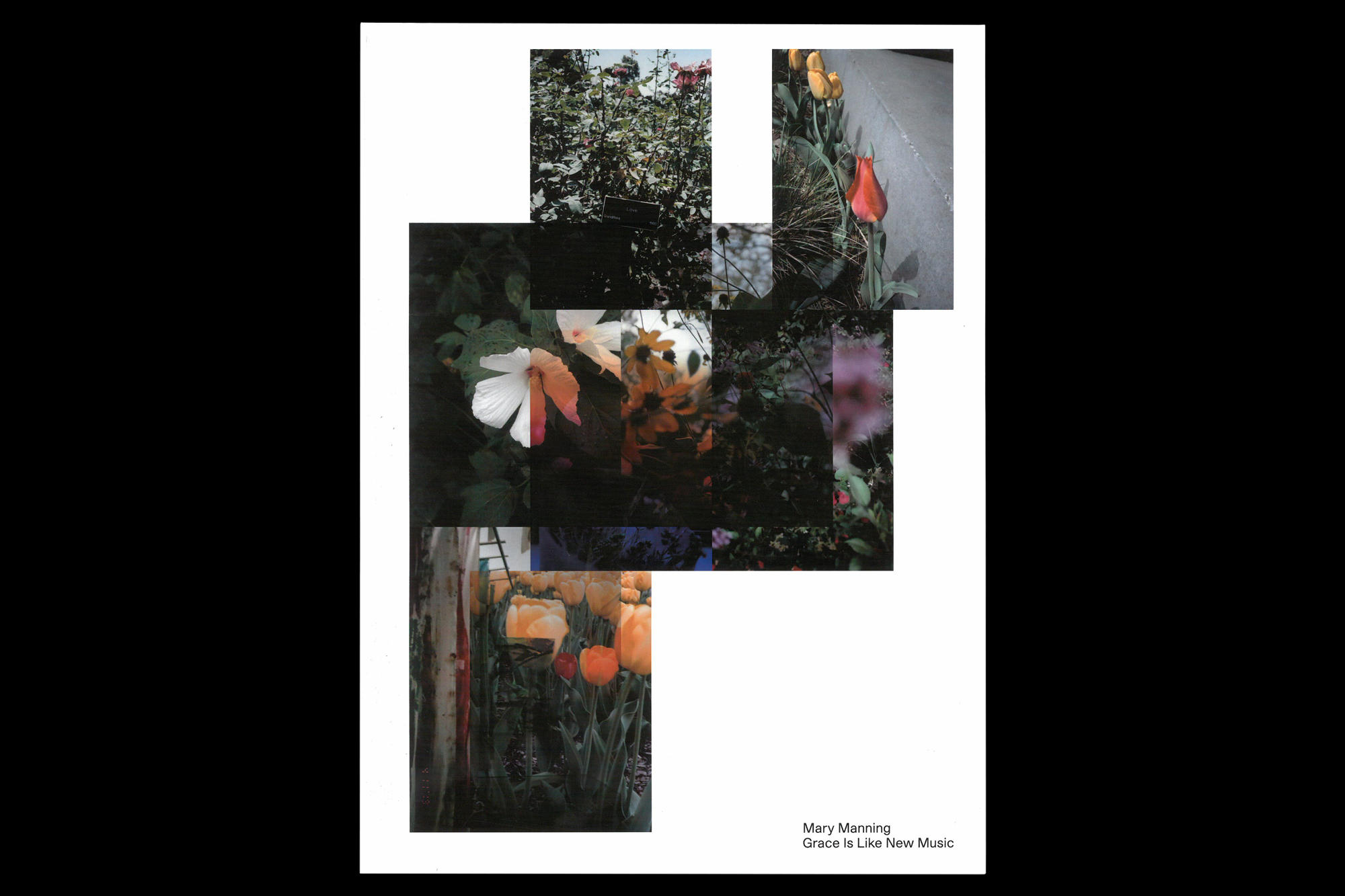  Joe Gilmore graphic design