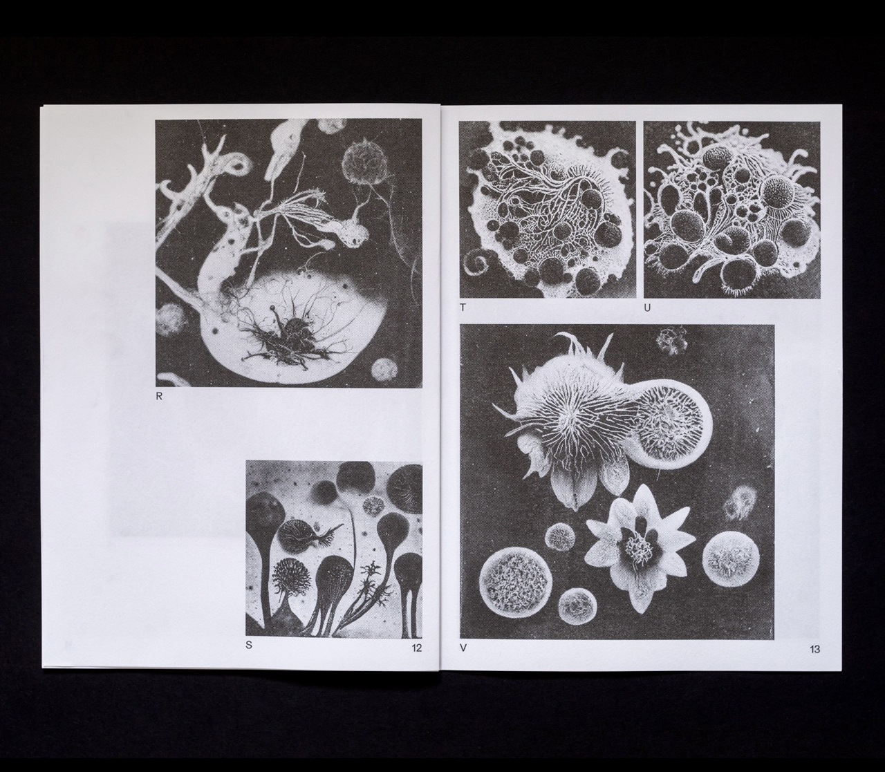  Joe Gilmore graphic design