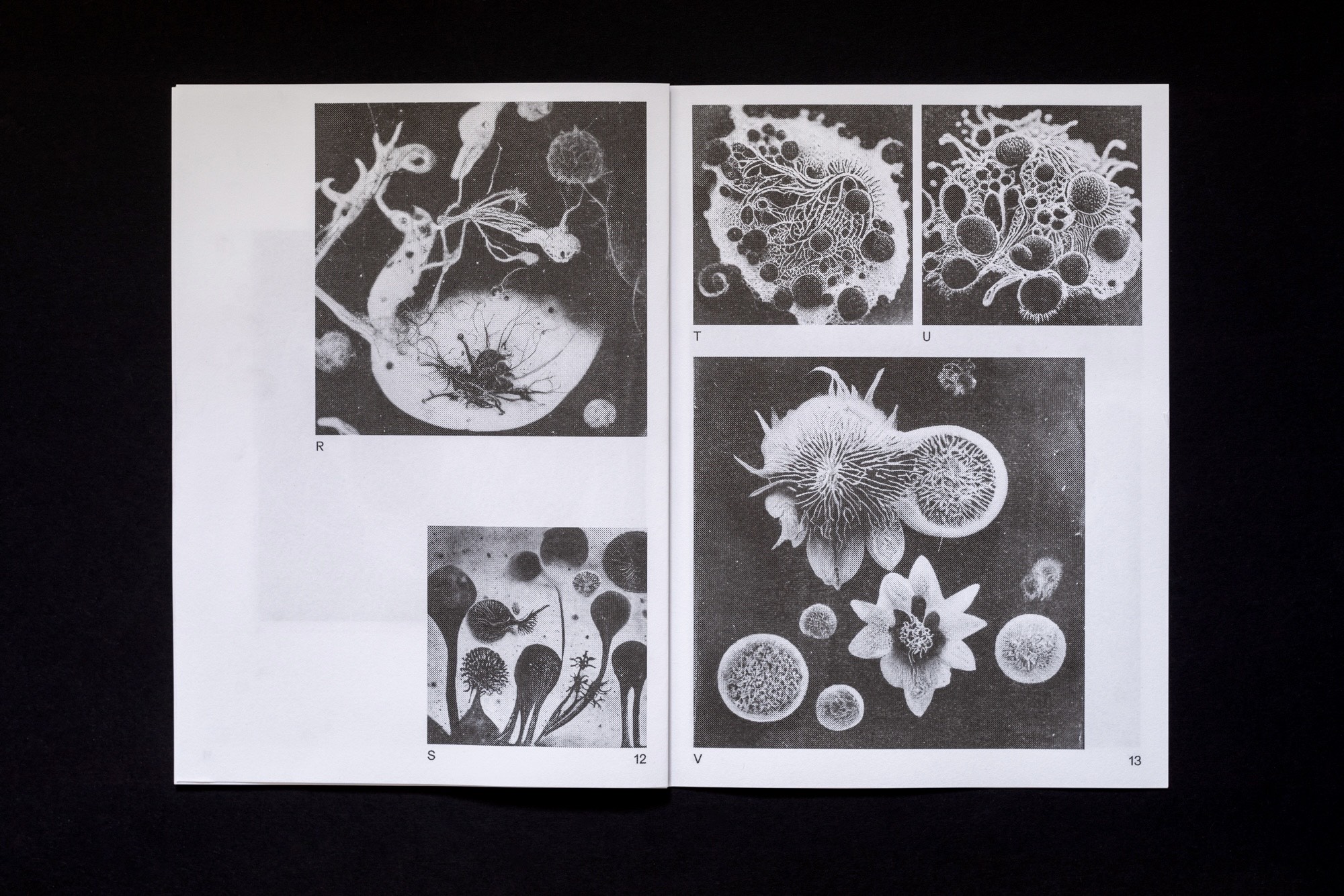  Joe Gilmore graphic design