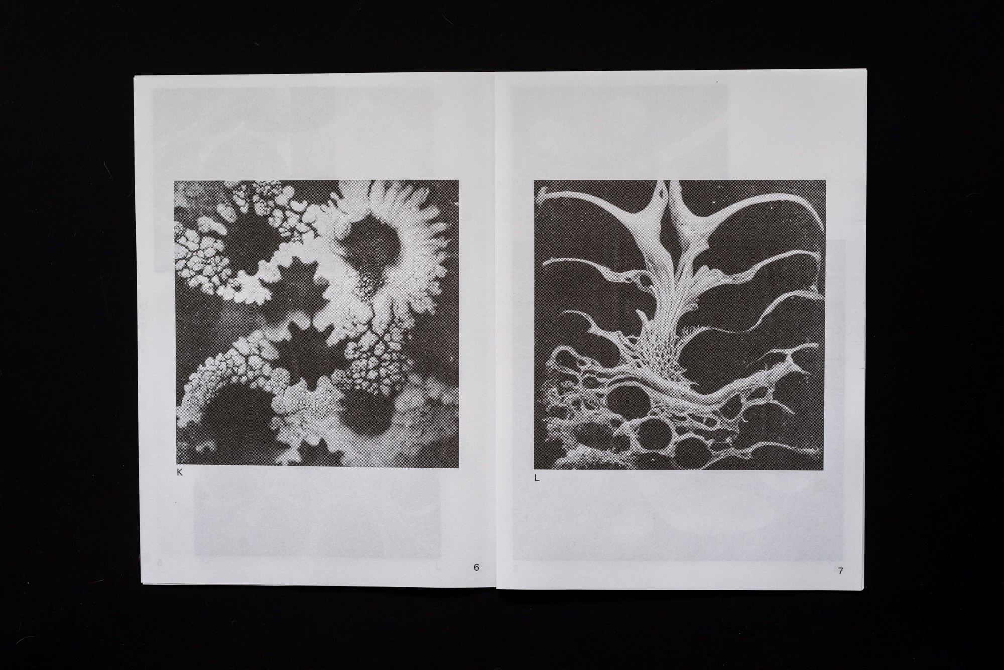  Joe Gilmore graphic design