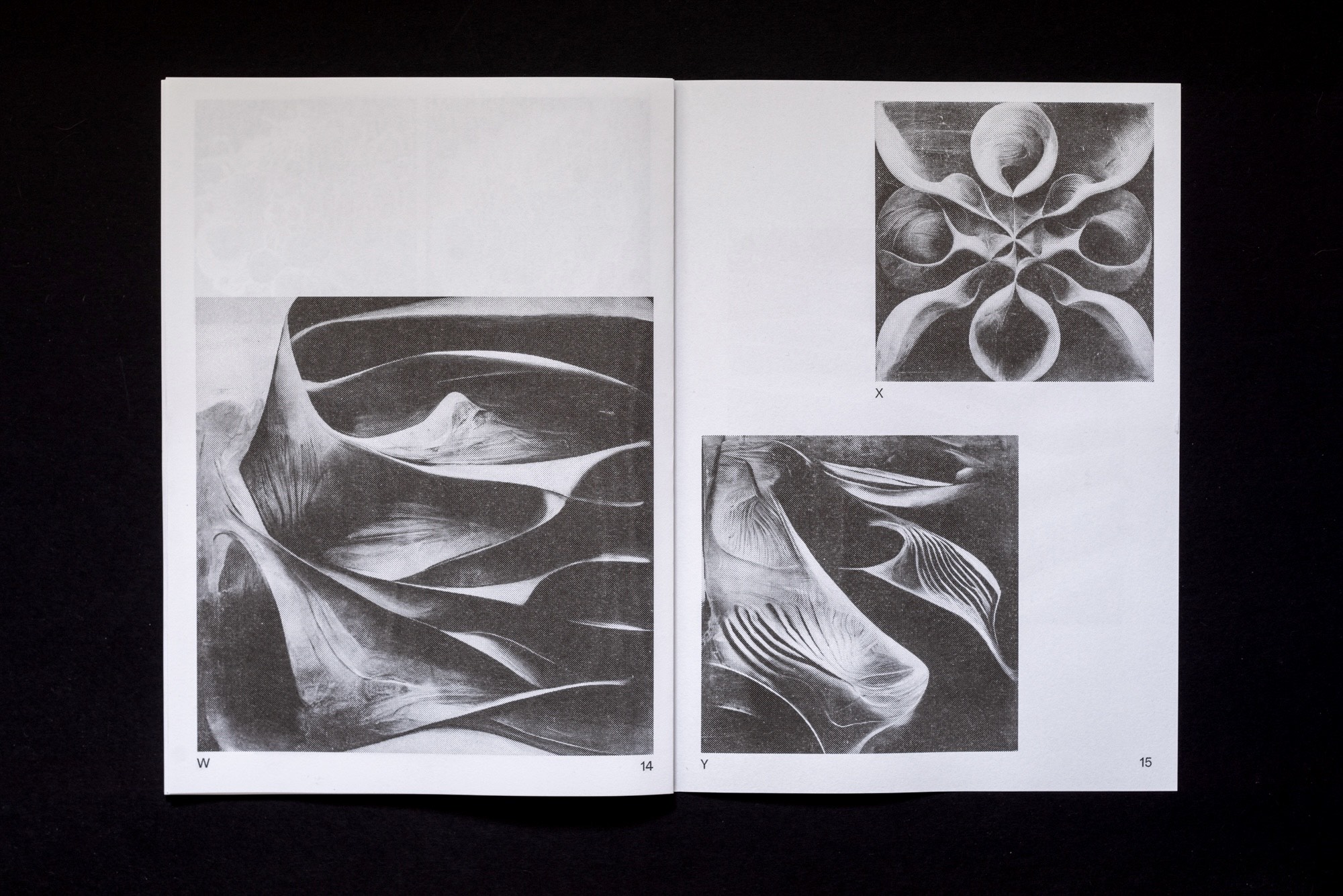  Joe Gilmore graphic design