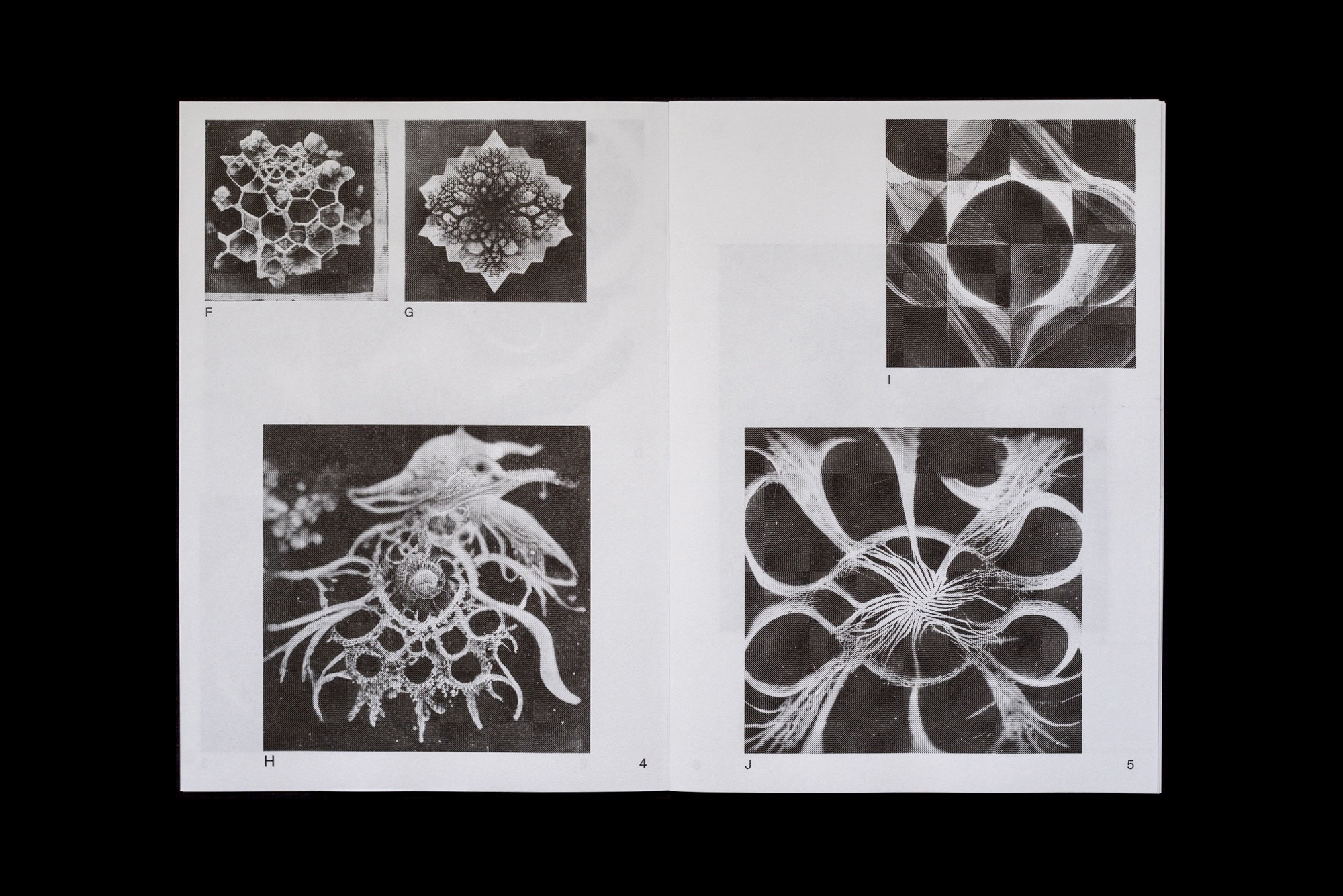  Joe Gilmore graphic design