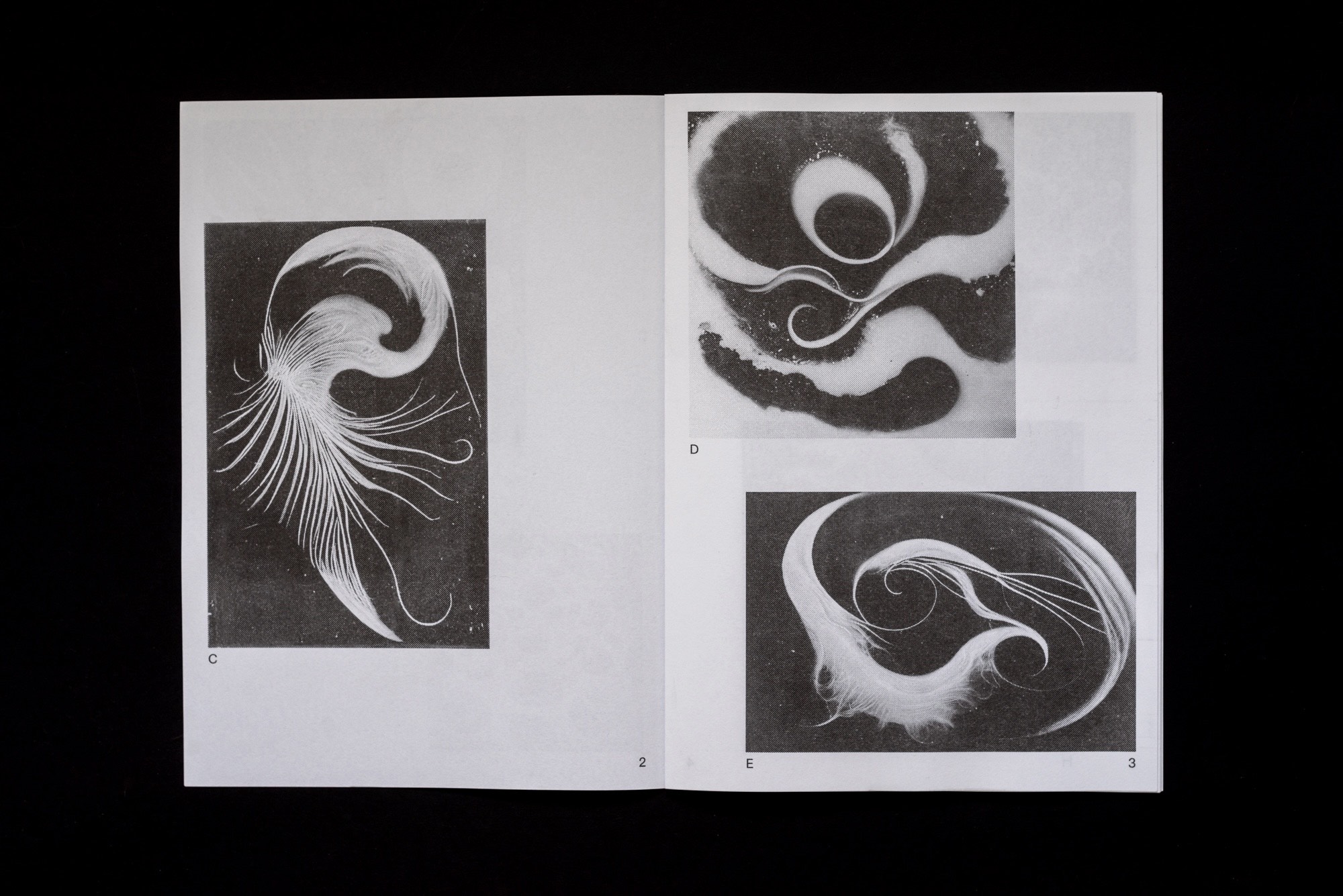  Joe Gilmore graphic design