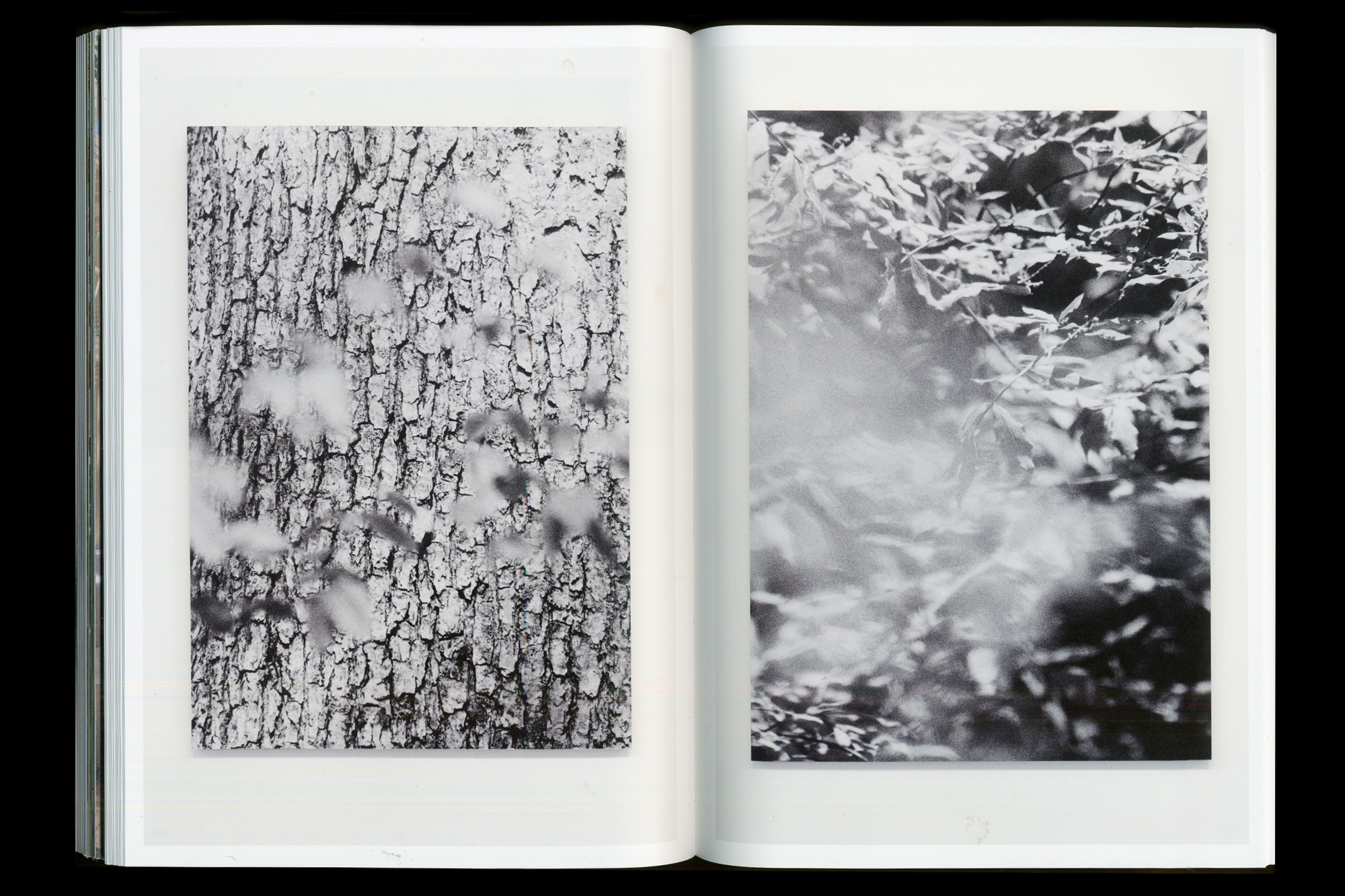  Joe Gilmore graphic design