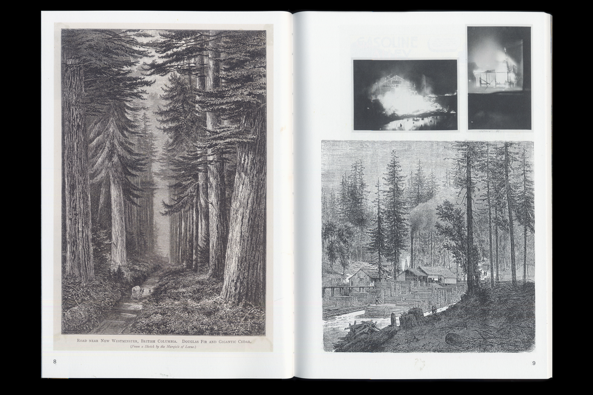  Joe Gilmore graphic design