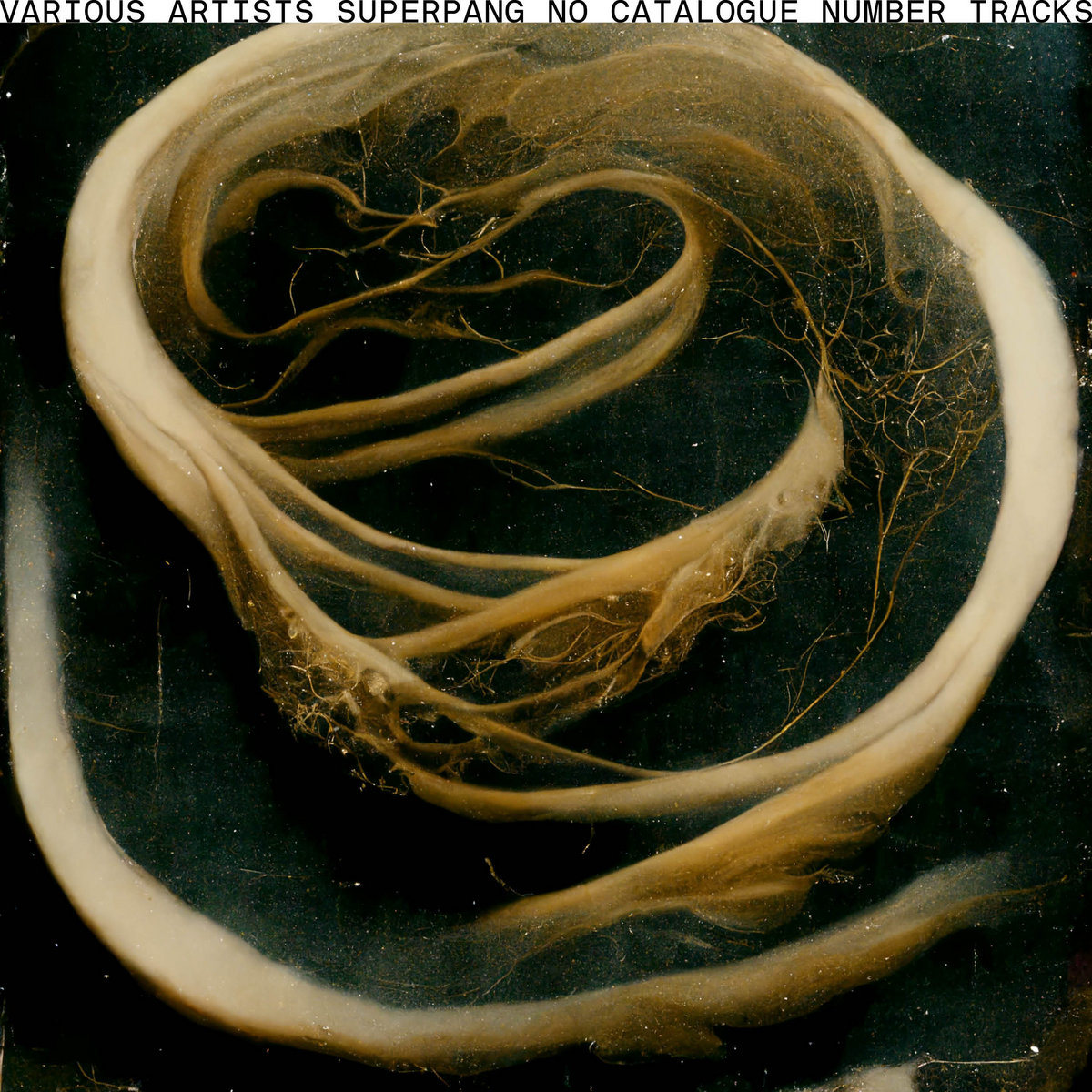  Joe Gilmore graphic design