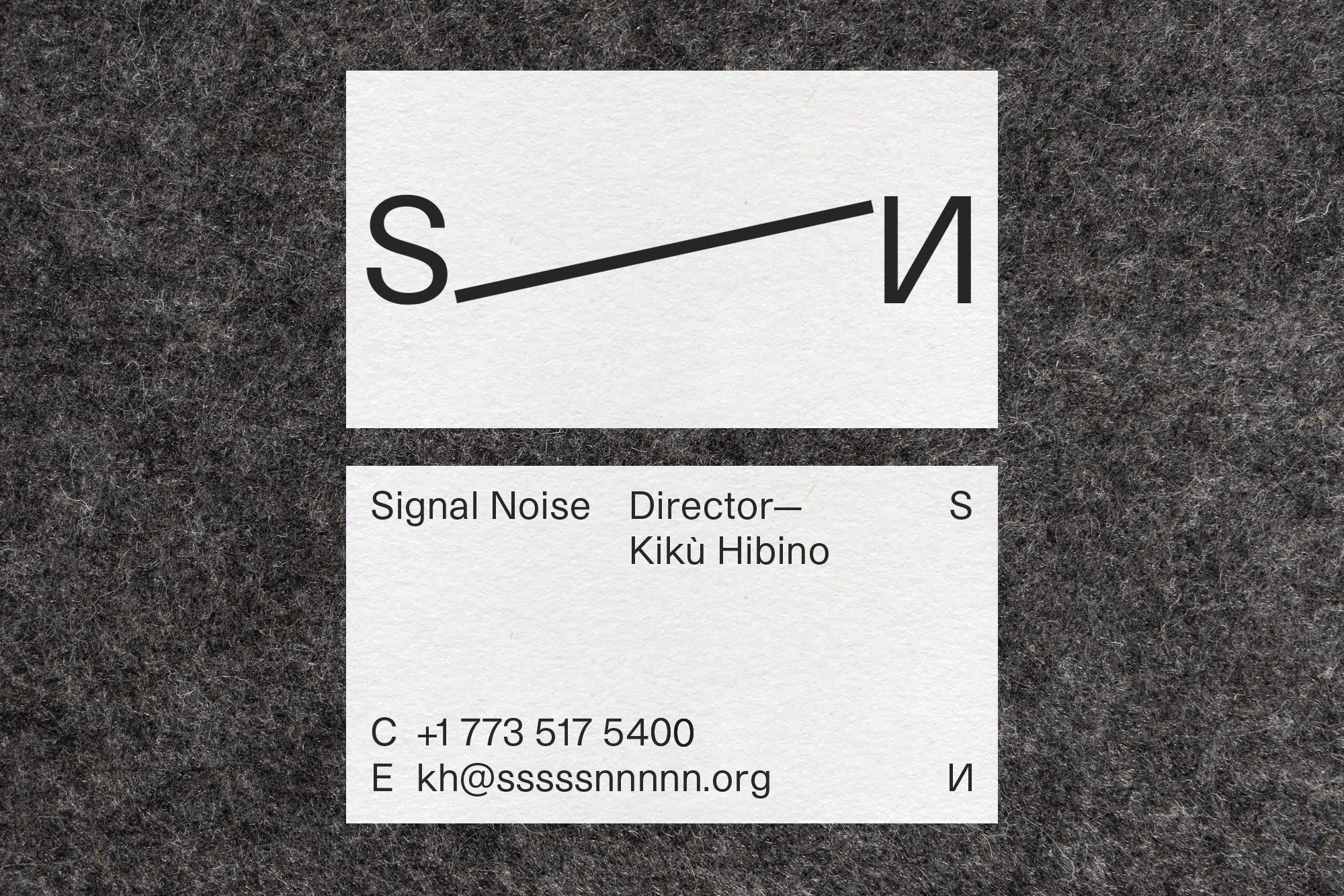 Signal Noise business card design by Joe Gilmore Joe Gilmore graphic design