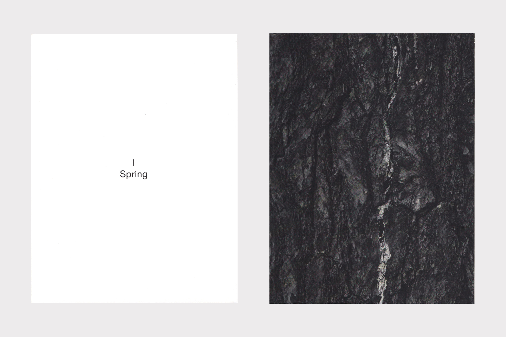 Joshua Bonnetta, The Pines CD design by Joe Gilmore for Shelter Press Joe Gilmore graphic design