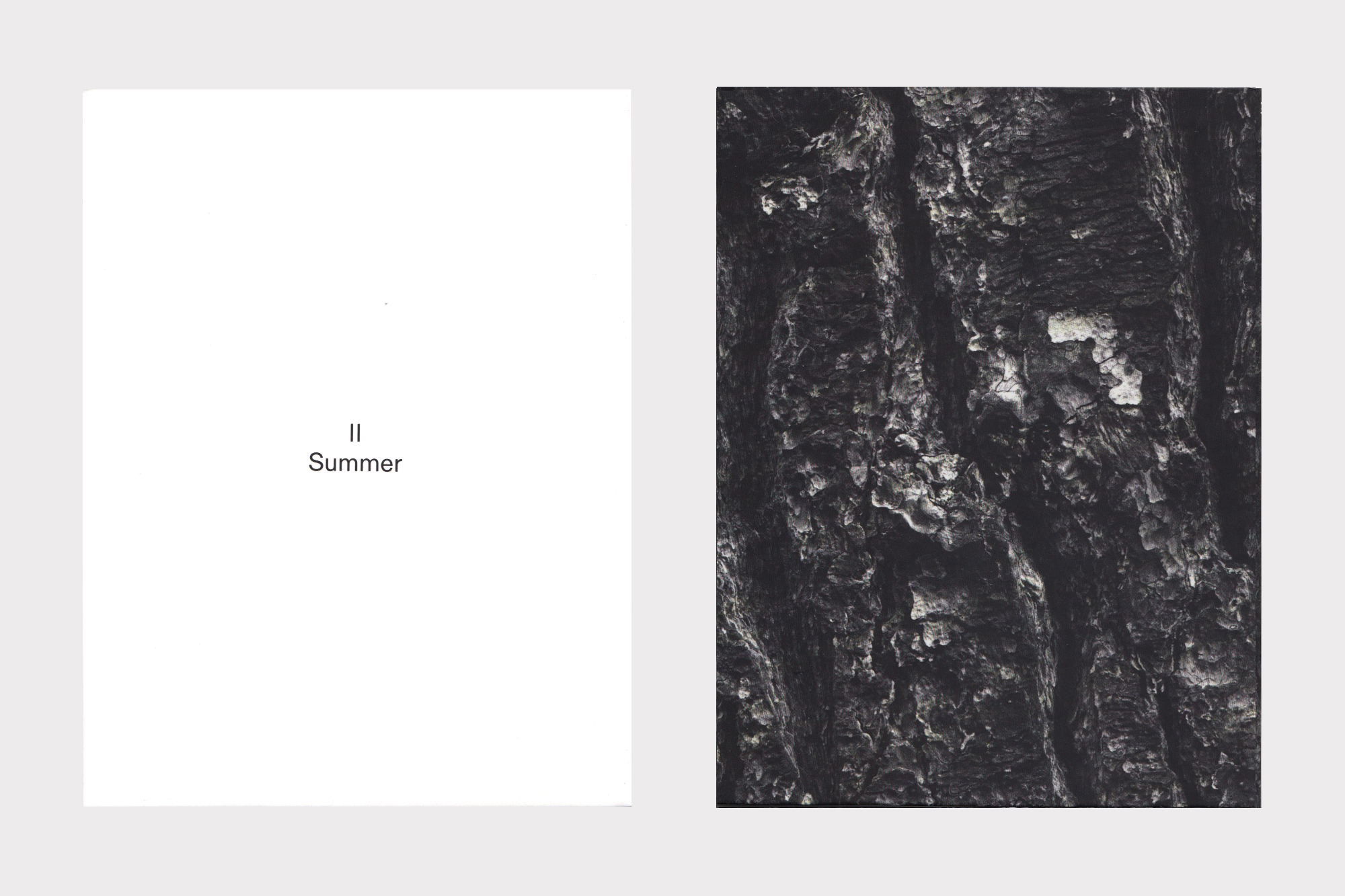 Joshua Bonnetta, The Pines CD design by Joe Gilmore for Shelter Press Joe Gilmore graphic design