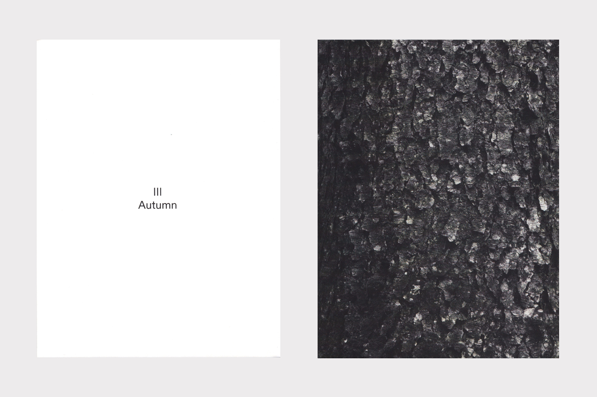 Joshua Bonnetta, The Pines CD design by Joe Gilmore for Shelter Press Joe Gilmore graphic design