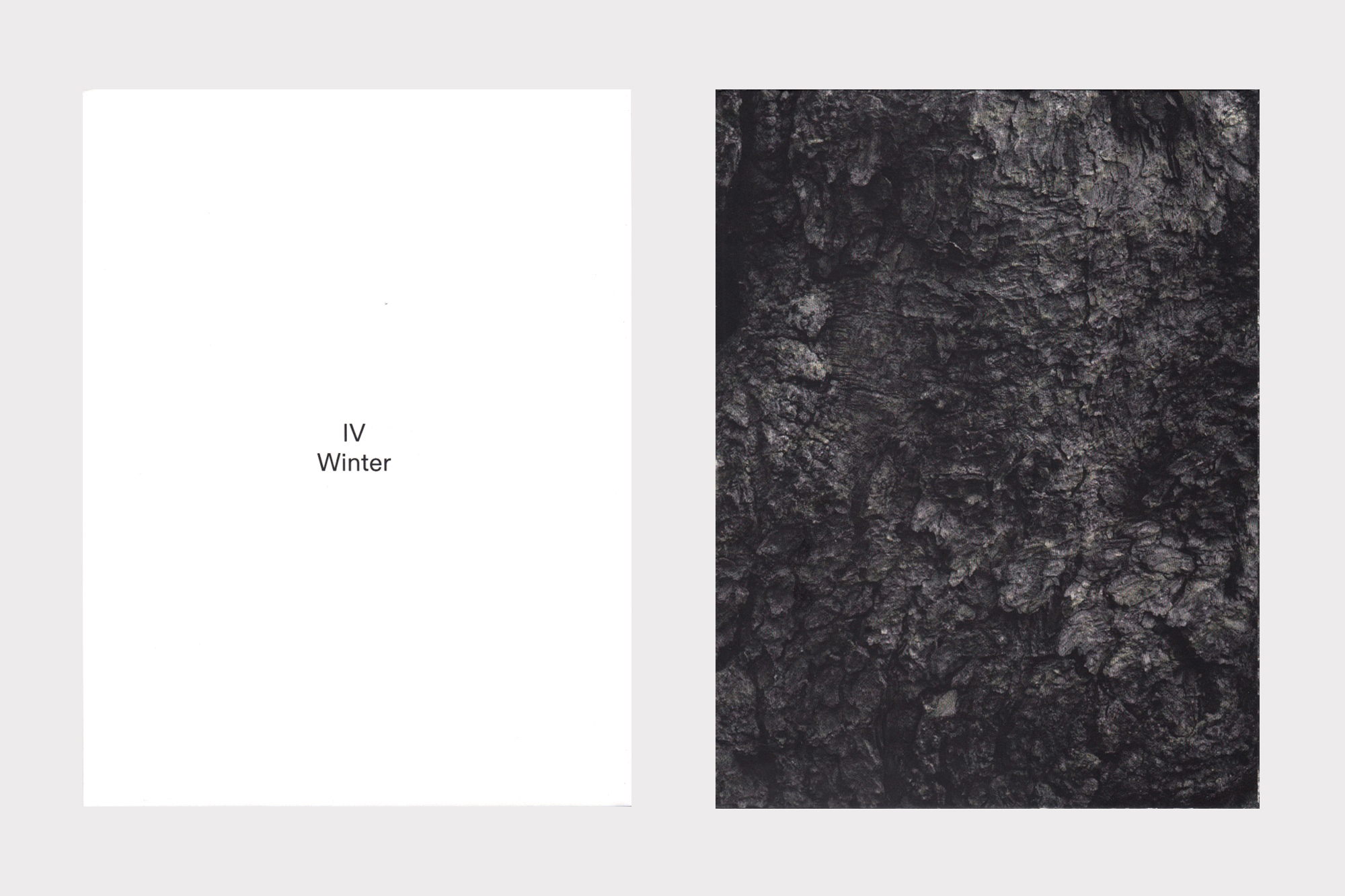 Joshua Bonnetta, The Pines CD design by Joe Gilmore for Shelter Press Joe Gilmore graphic design