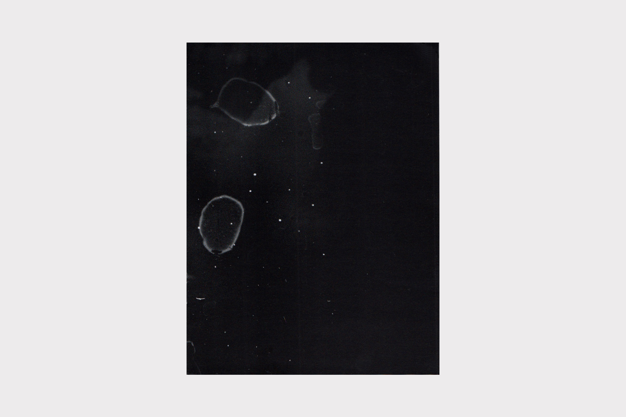 Joshua Bonnetta, The Pines booklet design by Joe Gilmore for Shelter Press Joe Gilmore graphic design