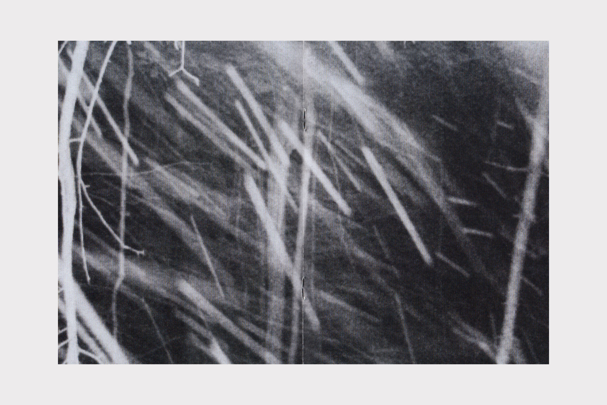 Joshua Bonnetta, The Pines booklet design by Joe Gilmore for Shelter Press Joe Gilmore graphic design