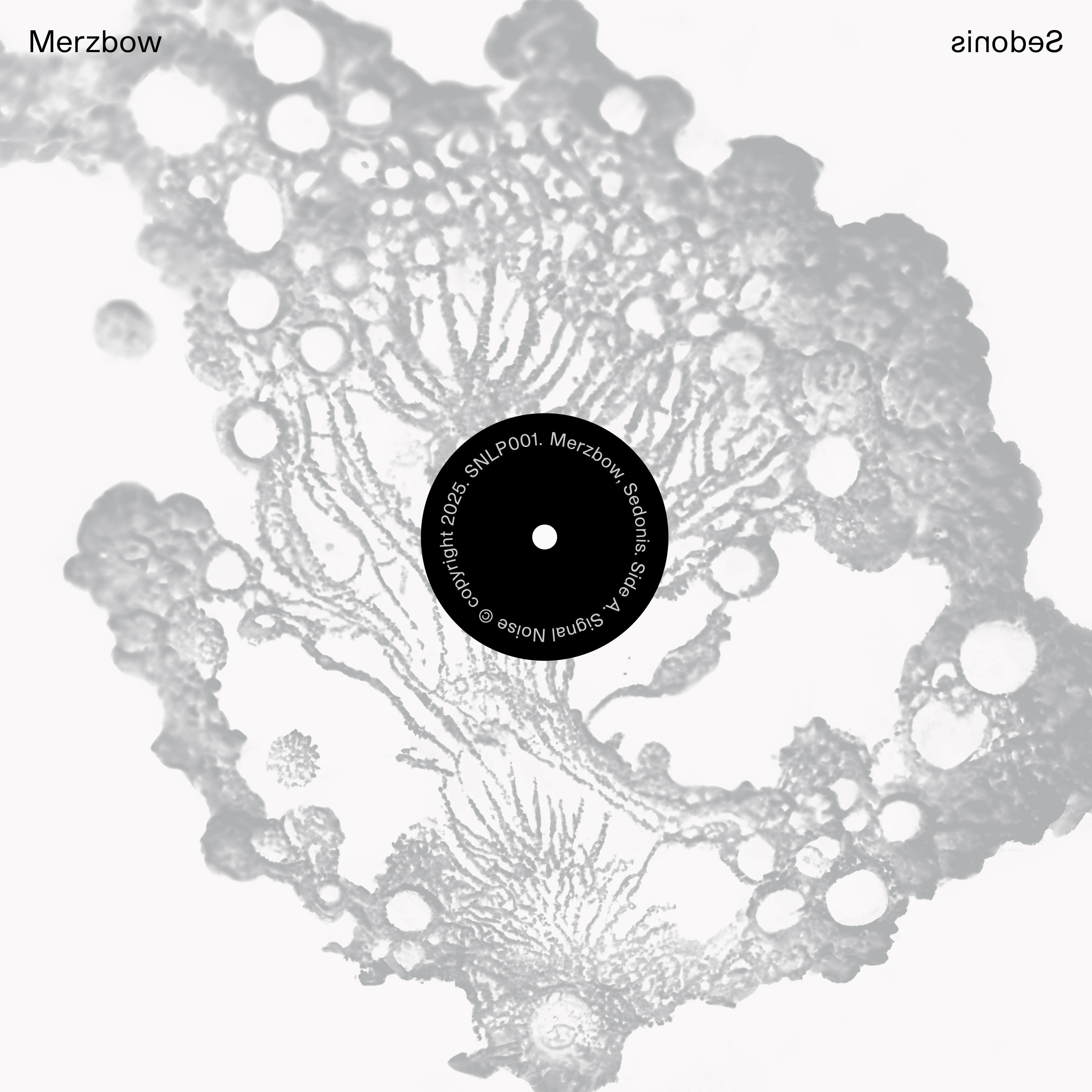  Joe Gilmore graphic design