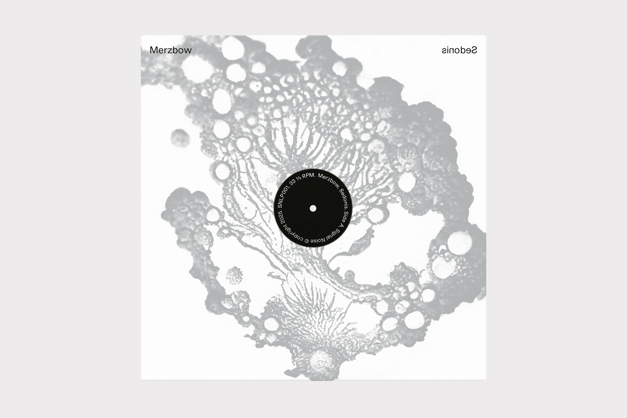 Merzbow, Sedonis LP cover design by Joe Gilmore Joe Gilmore graphic design