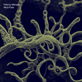  Joe Gilmore graphic design