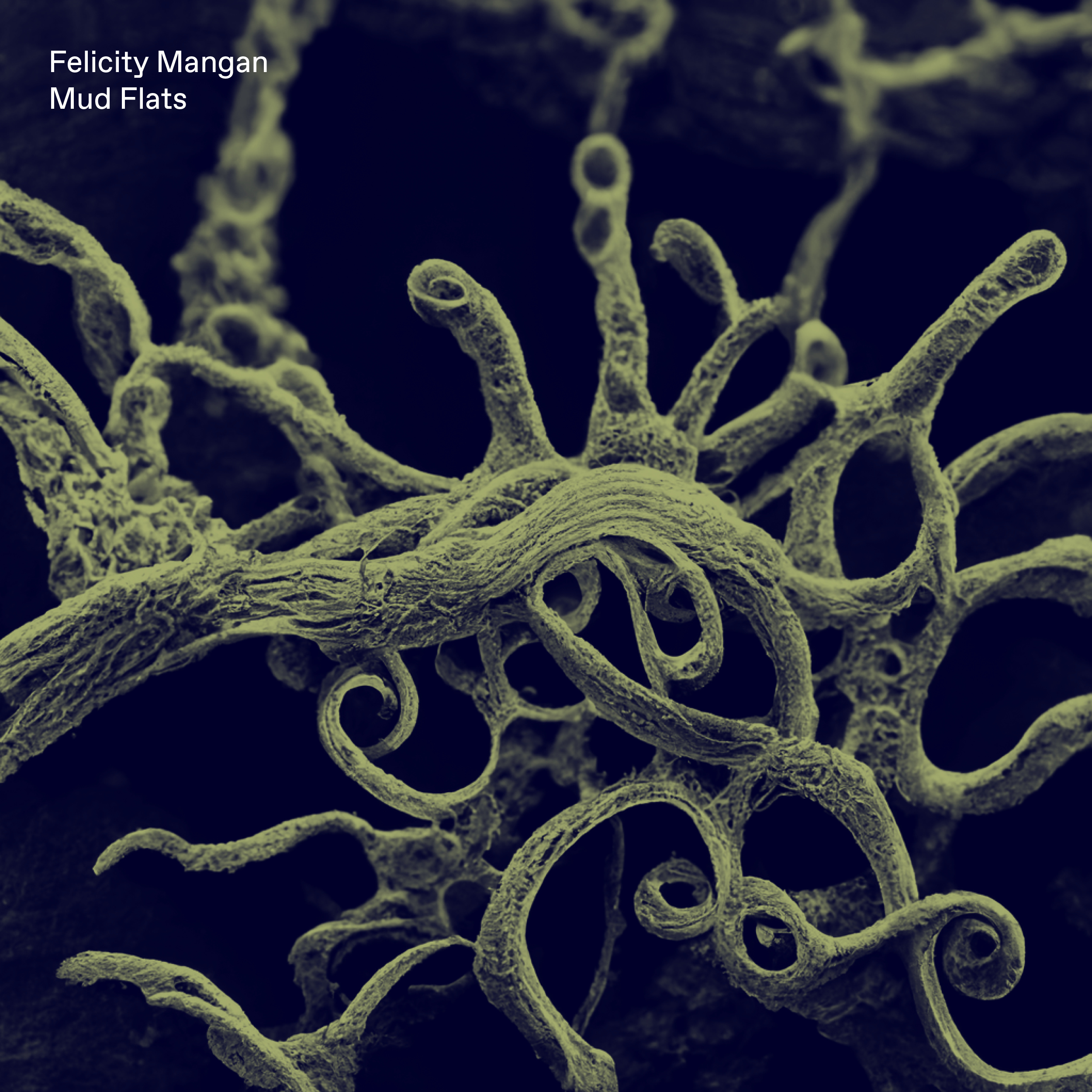  Joe Gilmore graphic design