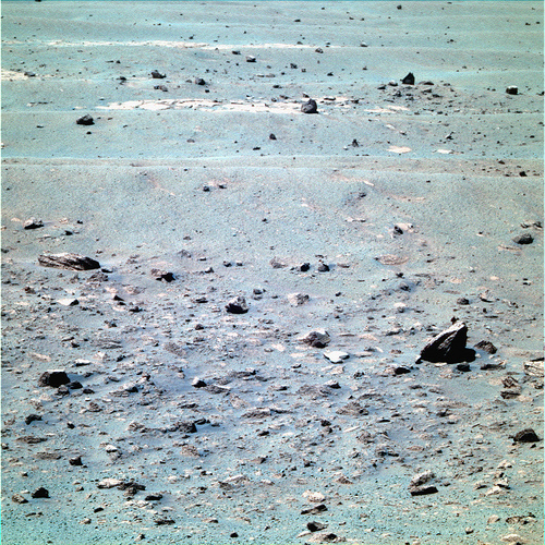 4321715079_b7d7e1fa07