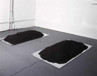 resize__575__575__5__exhib_images__Durant_PartiallyBuried_1960s70s