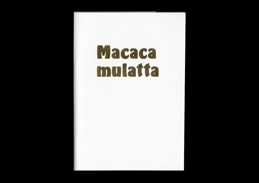 2_MACACA_01