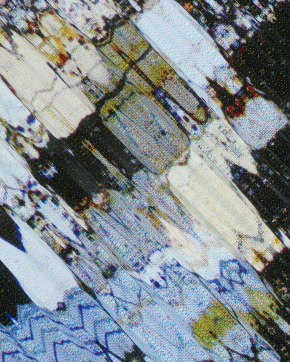 0445_B Prism Scan II (Cross Polarized Mesosiderite) (detail)-Tauba-Auerbach-large