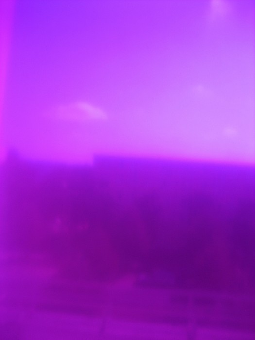 41.Purple_studio-525x700